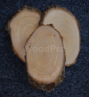 Felie lemn neprelucrat oval