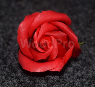 Trandafir de sapun Rosu