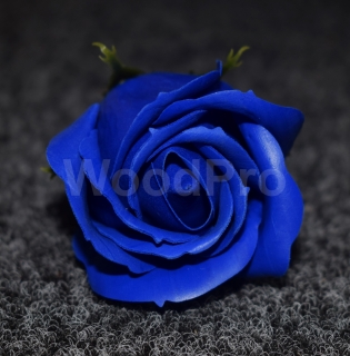 Trandafir de sapun Albastru Inchis