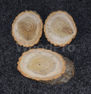 Felie lemn natur oval
